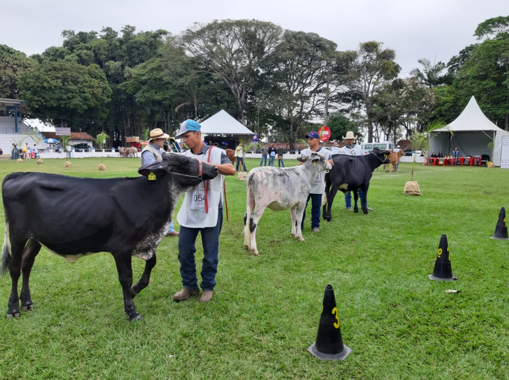 Jornal da Franca 51ª Expoagro começa na quinta 19 shows