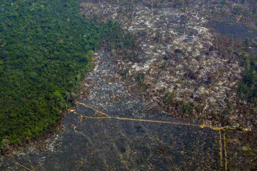 O desmatamento na floresta amazônica no norte do Brasil subiu para quase 10 mil quilômetros quadrados no ano até julho de 2019 - o maior em mais de uma década (Foto: Joao Laet/AFP/Reprodução))