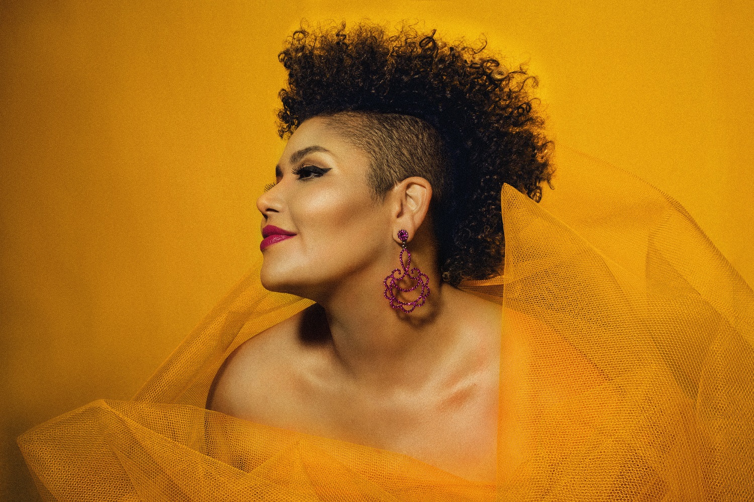 Alma Thomas é uma voz fixa na cena do jazz nacional (Foto: Divulgação)