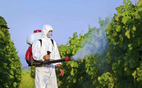 O projeto de lei fragiliza o controle sanitário, ambiental e de saúde atualmente realizado pelo Estado, afirmou relator (Foto Circuito Agronews)
