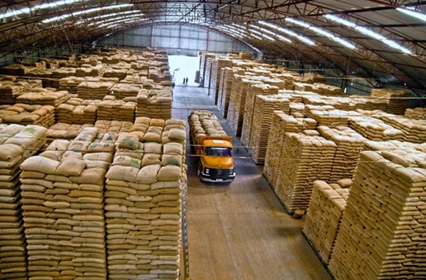 Estado de SP tem levantamento durante este mês (Circuito Agronews)