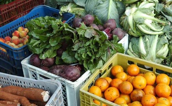 Os produtos serão destinados à Alimentaçao Escolar em Franca, durante o período de 12 meses (Foto Circuito Agronews)