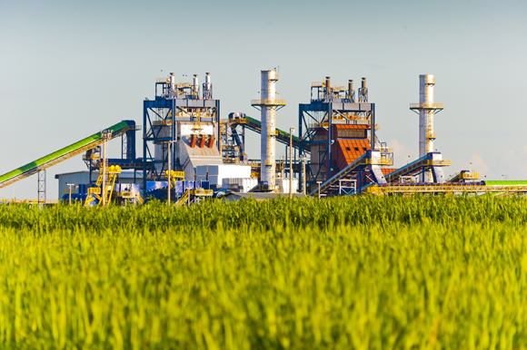 Safra antecipada em 13 dias na região (Foto Circuito Agronews)