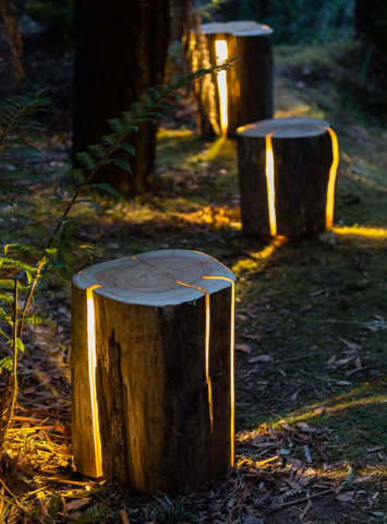 Tronco de árvore funciona como base para a luz  (Foto: Reprodução)