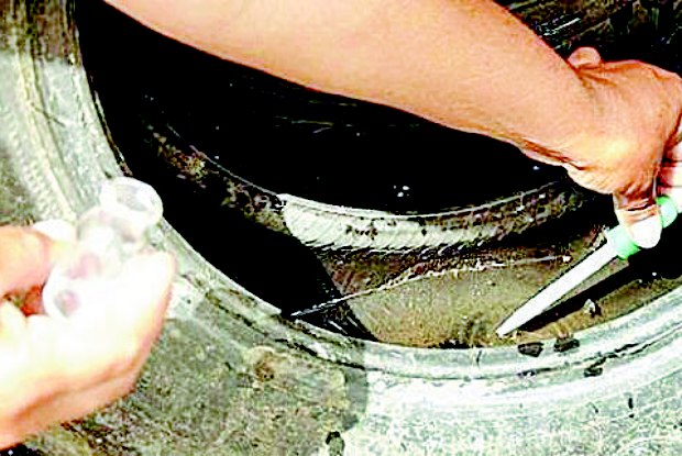 Foco da ação é eliminar os criadouros do mosquito transmissor da dengue, o Aedes Aegypti