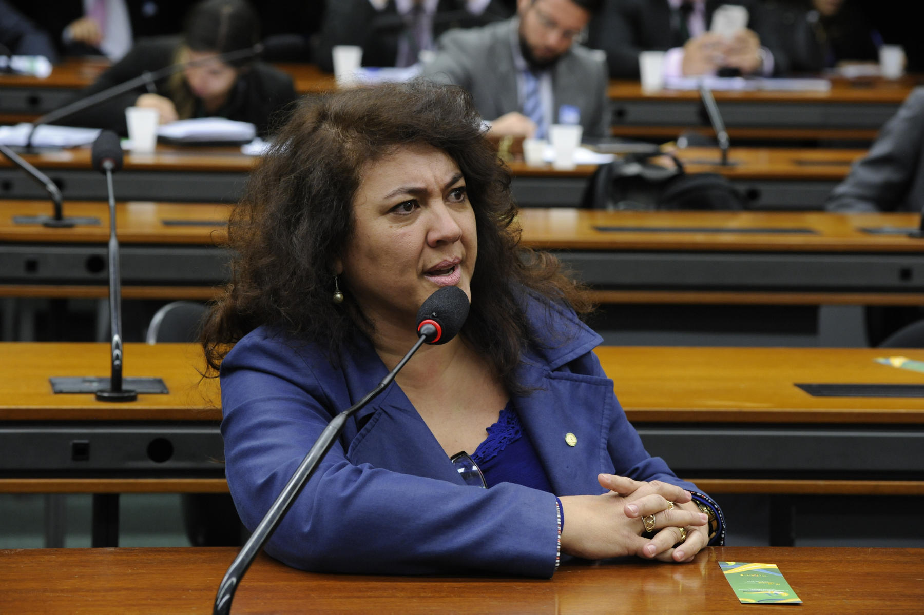 Deputada federal Christiane Yared diz que 1,8 mil novos hospitais poderiam ser construídos (Foto: Agência Câmara)