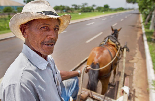 Pedreiro Baltazar Rodrigues é favorável ao RG para os animais (Foto Weber Sian/A Cidade)