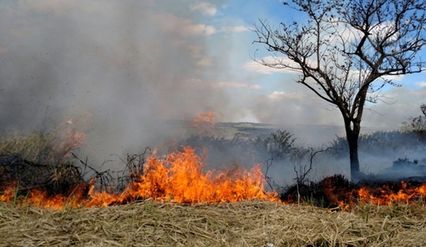 Houve redução de aproximadamente 60% dos focos de queimadas e incêndios,