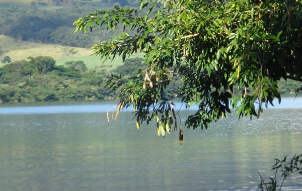 Rio Grande é protegido pelas ações do Ibama/Ribeirão (Foto Arquivo JF)