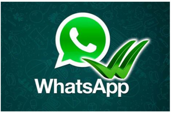 Com aplicativos VPN, o WhatsApp volta a funcionar no Brasil (Foto: Reprodução)