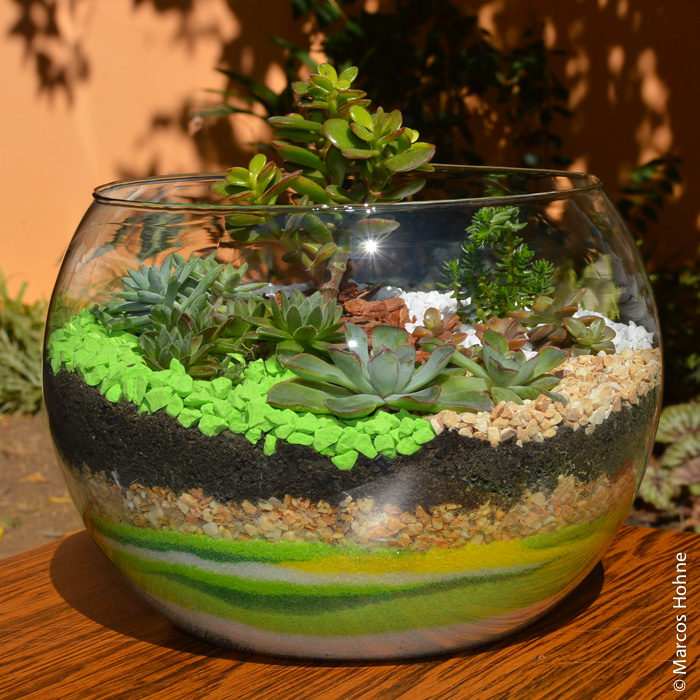 Terreiros funcionam como mini jardins (Foto: Reprodução)