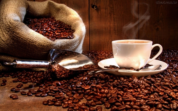 O valor mínimo do lance dos cafés leiloados será de R$ 1 mil por saca de 60,5 quilos, para os lotes de 10 sacas (Foto Divulgação)