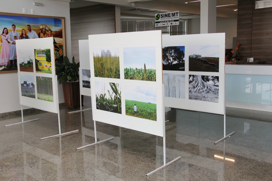 Exposição será inaugurada na próxima quinta-feira, 10 (Foto: Reprodução)