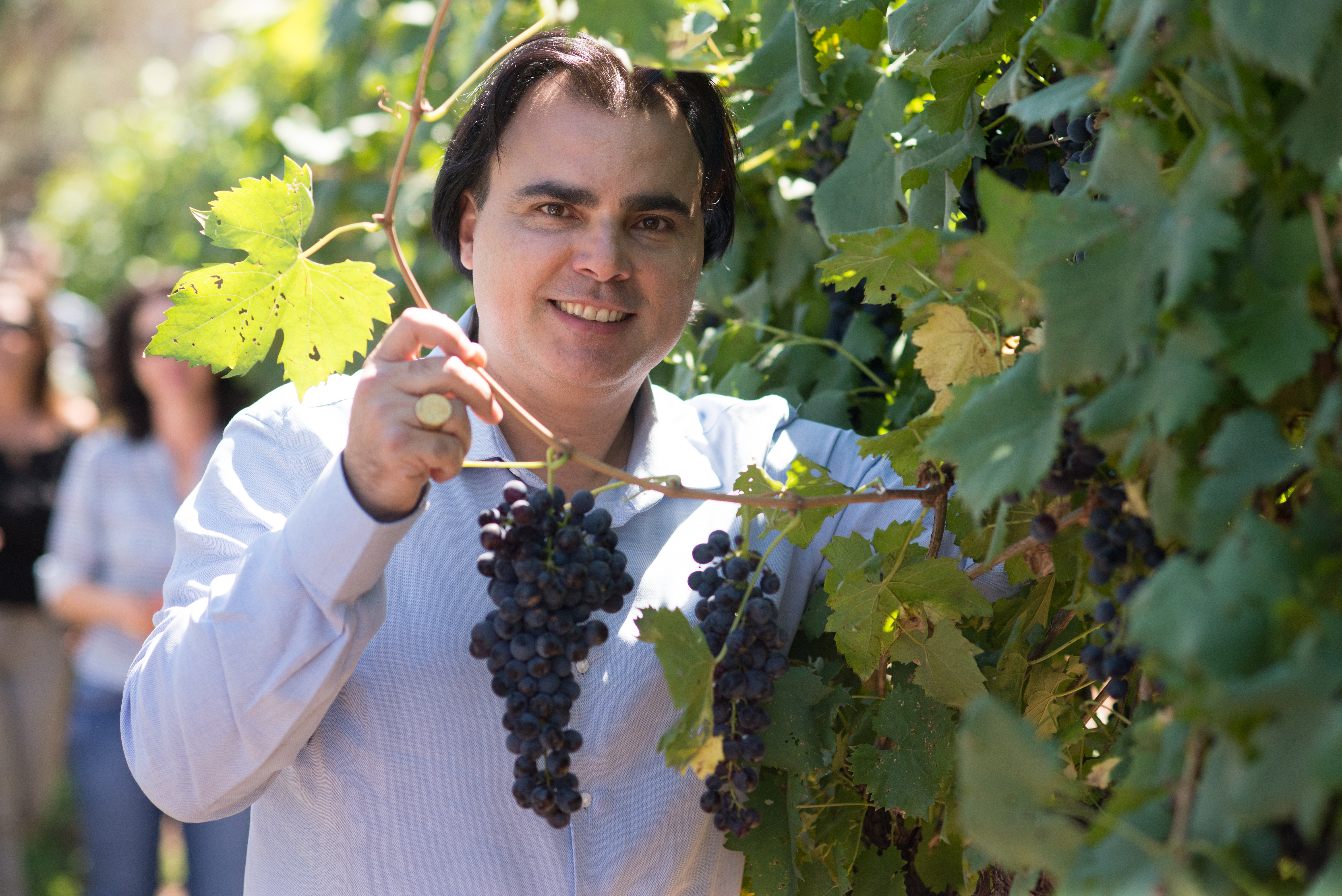 Luis Roberto Lorenzato, proprietário da vinícola