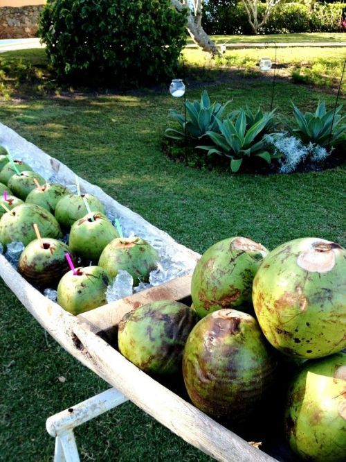 Uma canoa de água de coco é uma opção inovadora e deliciosa (Foto: Reprodução)