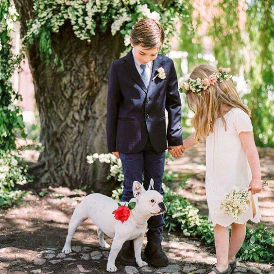 Entrada com animais traz muita alegria e charme para a cerimônia (Foto: Reprodução)