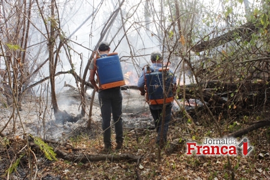 Funcionários de Fazenda em Pedregulho combate foco de incêndio