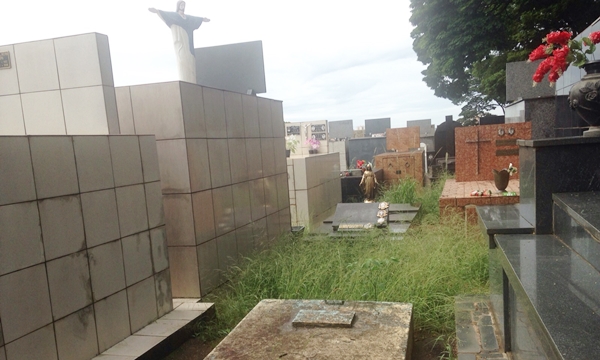 Mato prolifera pelos corredores entre túmulos do Cemitério da Saudade (Fotos Aparecido Santos)