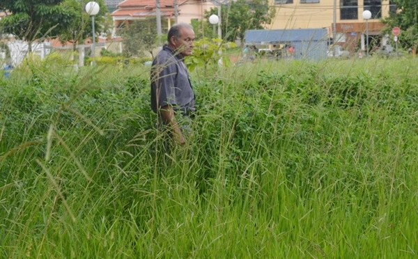 Após prazo, Prefeitura limpa e faz cobrança da multa (Foto Circuito Regional)