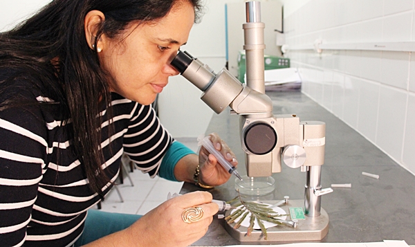 Herbário possui acervo com mais de 57 mil espécies (Foto Circuito Agronews)