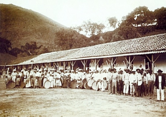 Escravos reunidos em uma fazenda de café no Brasil, 1885