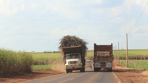 Transporte significa grande perigo nas estradas (Foto Circuito Agronews)