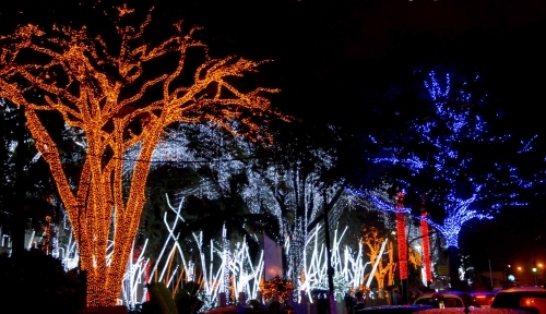 Tradicional decoração natalina do Colégio Champagnat será inaugurada nos próximos dias