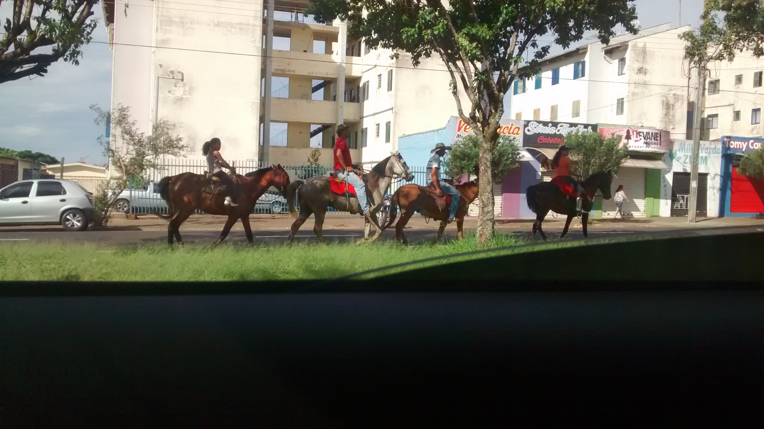 Grupo de cavaleiros e muladeiros desfila tranquilamente pela Avenida Abrahão Brickmann (Foto: Jornal da Franca)
