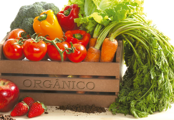 Alimentos orgânicos são mais saudáveis, mas preços elevados assustam consumidores (Foto: Revista Viva Saúde)