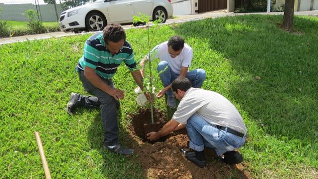 Zezinho planta árvore junto de assessores na Câmara (Foto: Divulgação Câmara)