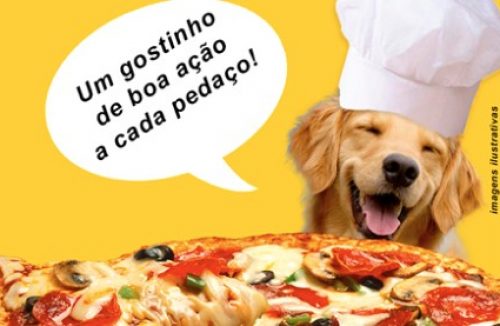 Grupo Bicho Feliz promove venda de pizza em prol dos animais abandonados - Jornal da Franca