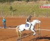 Três Colinas recebe Cristais em corrida isolada, com show e leilão neste sábado - Jornal da Franca