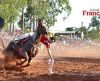 Areia bate Ibiraci e mantém liderança das Hípicas. Hoje tem mais duas corridas - Jornal da Franca