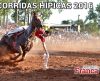 ​Festa de São Bernardo adia rodada das Hípicas que tem apenas Claraval x Cristais - Jornal da Franca