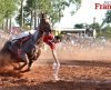 Hípicas tem dois confrontos antecipados para sábado e duas corridas no domingo - Jornal da Franca