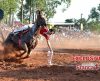 Está de volta a emoção: confira tabela do 1º turno das Corridas Hípicas 2017 - Jornal da Franca