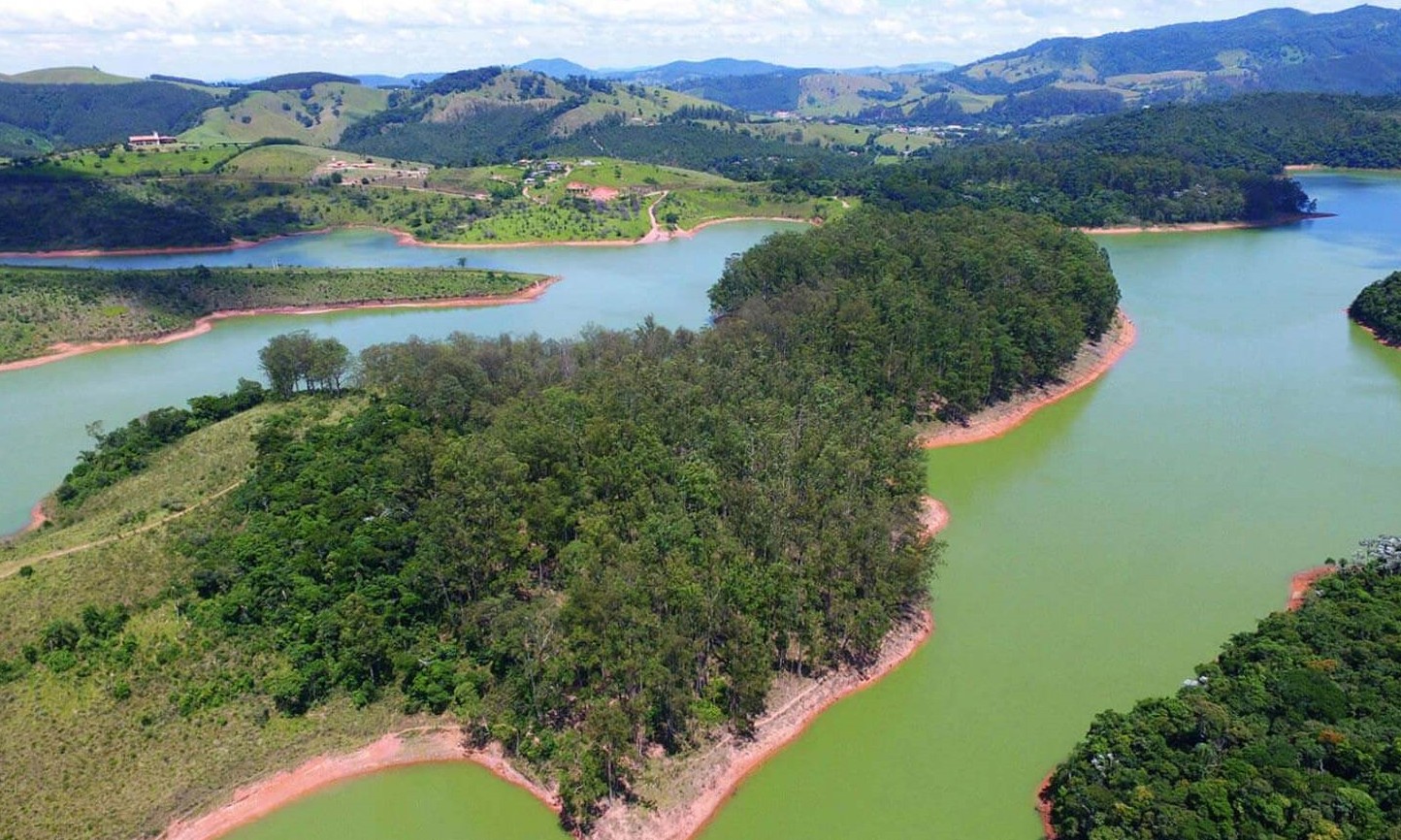 Sabesp planta árvores em área de represa para melhorar água - Jornal da Franca