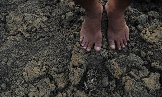 Brasil tem 917 municípios em crise hídrica; maioria está no Nordeste - Jornal da Franca