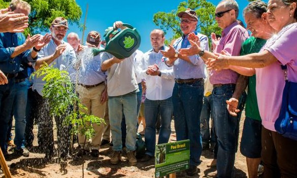 Programa Nascentes fará restauração ambiental em áreas públicas de SP - Jornal da Franca