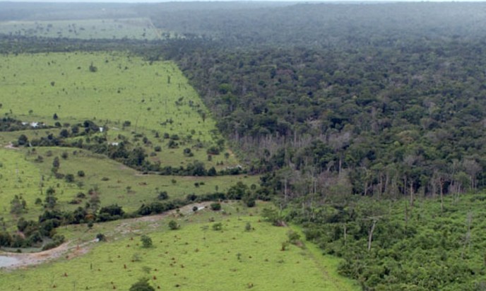 Implantação do Novo Código Florestal é regulamentada em SP - Jornal da Franca