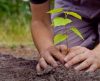 Semana Ambiental começa nesta segunda-feira, 17, com várias atividades em Franca - Jornal da Franca