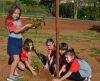 Alunos do Jardim Luiza participam de plantio de mudas em praça do bairro - Jornal da Franca