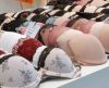 Fussol abre inscrições para Oficina de Modelagem e Lingerie em Franca - Jornal da Franca