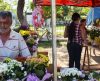 Leilão para venda de flores no Dia de Finados acontece dia 18 de outubro - Jornal da Franca