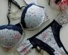 Fussol abre inscrições para formação de turma da oficina de Lingerie - Jornal da Franca