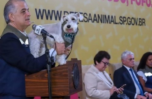 Subsecretaria de Defesa dos Animais de SP já está em funcionamento - Jornal da Franca