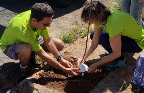 Projeto Verdejar Franca fará plantio de árvores nos bairros Aeroporto I e II - Jornal da Franca