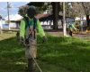 Parque Fernando Costa passa por melhorias para receber Expoagro - Jornal da Franca