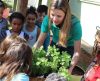 Alunos de escola pública no Santa Efigência em Franca, realizarão plantio de horta - Jornal da Franca