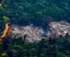 Cientistas alertam para o perigo de incêndios mais intensos na Amazônia - Jornal da Franca